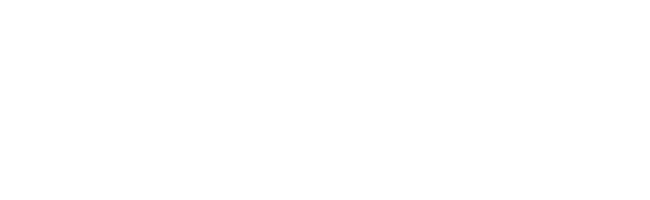 CATALYS Consulting